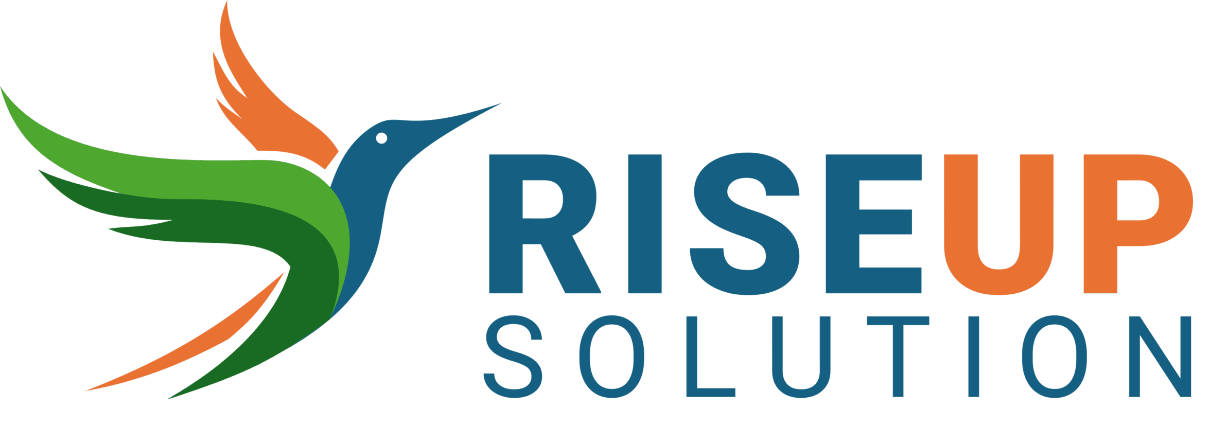 ライズ・アップ・ソリューション株式会社